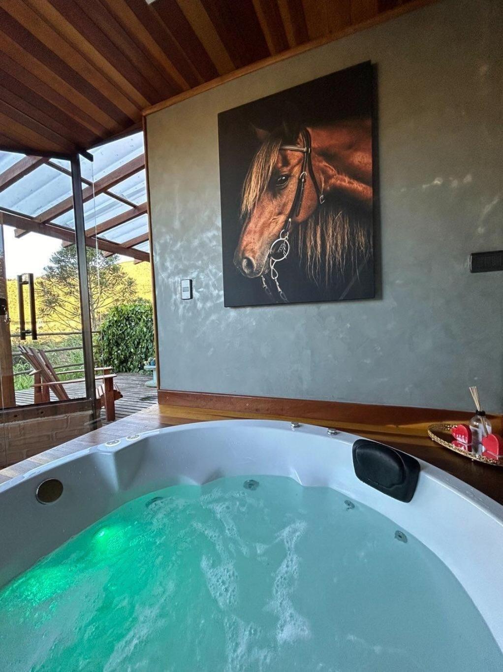 Refugio Horse Villa Santo Antônio do Pinhal Exterior photo